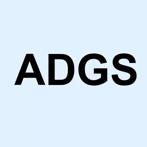 ADGS Advisory Inc Logo