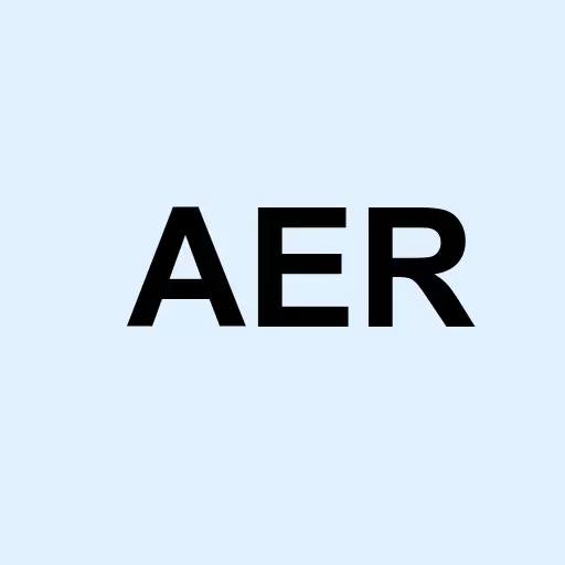 AerCap Holdings N.V. Logo