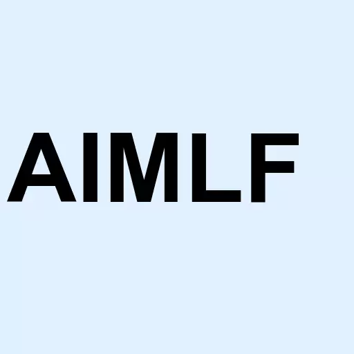 AI/ML Innovations Inc Logo