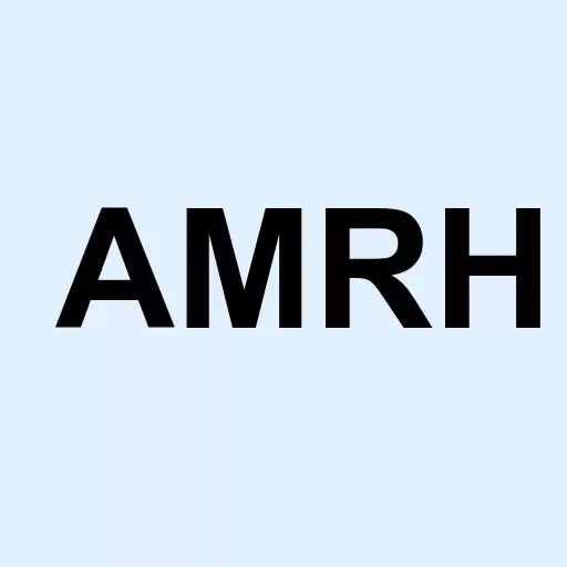 Ameri Holdings Inc. Logo