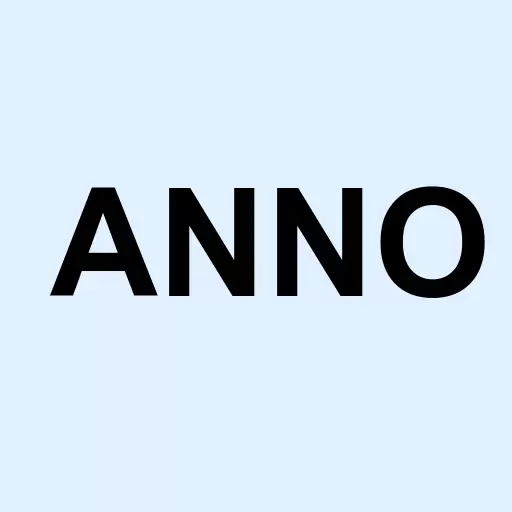 Amer Nano Silicon Tch Inc Logo