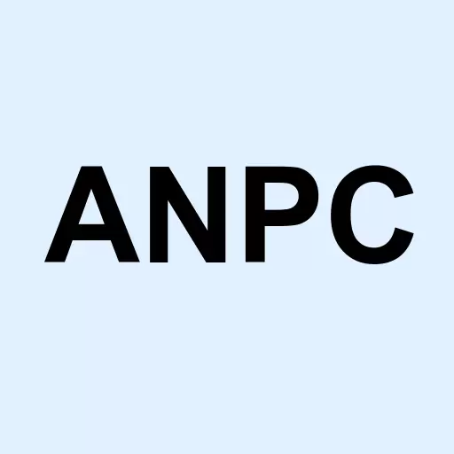 AnPac Bio-Medical Science Co. Ltd. Logo