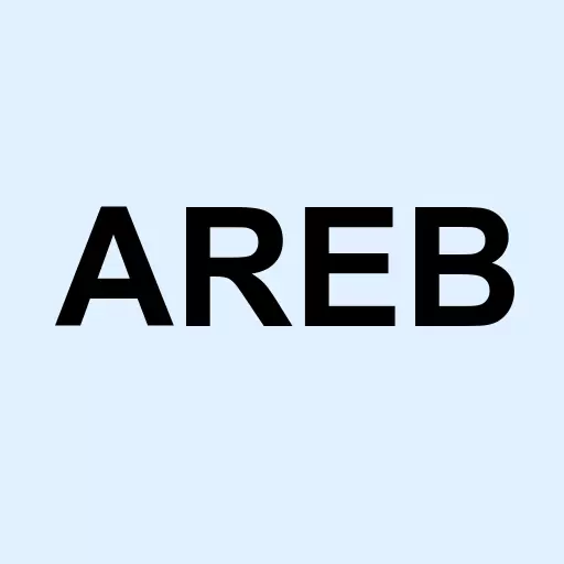 American Rebel Holdings Inc. Logo