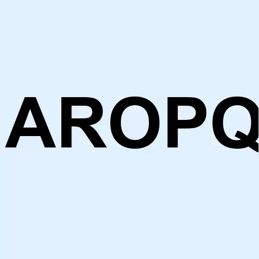 ARO Liquidation Inc Logo