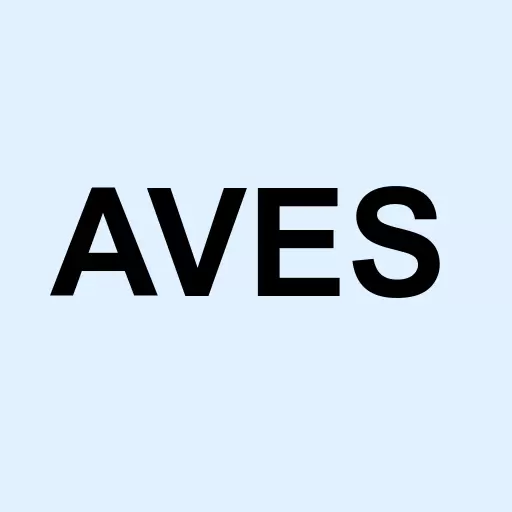 Avantis Emerging Markets Value ETF Logo