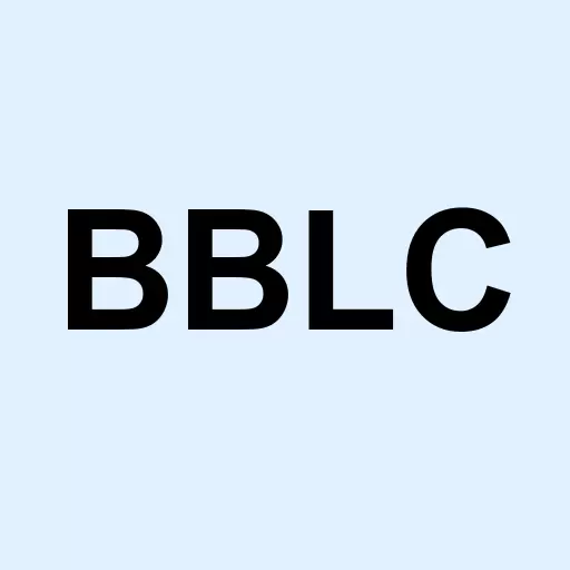 Blockchain Loyalty Corp Logo