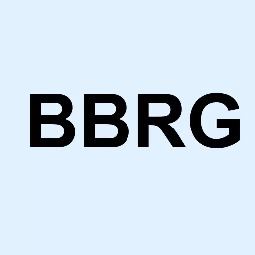 Bravo Brio Restaurant Group Inc. Logo
