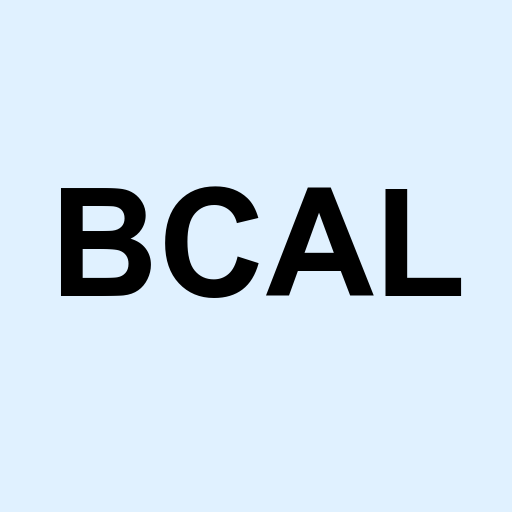 Stock bcal logo