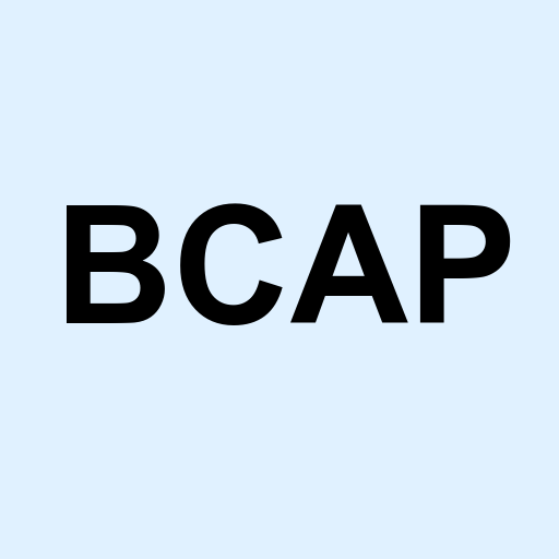 Stock bcap logo