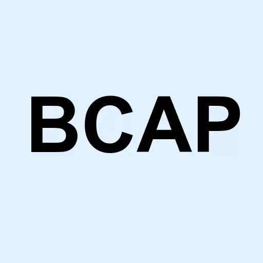 Baron Capital Enterprise Inc Logo