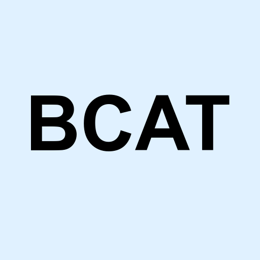 Stock bcat logo