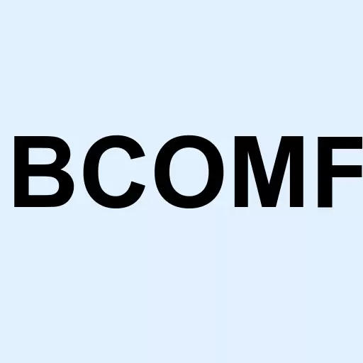 B Communications Ltd. Logo