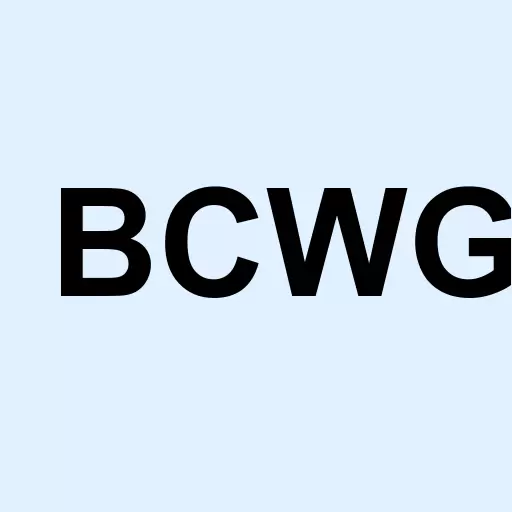 BCW Group Holding Inc Logo