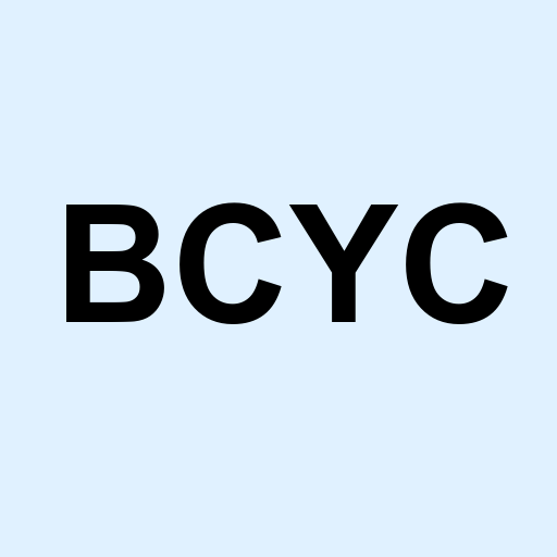 Stock bcyc logo