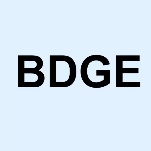 Bridge Bancorp Inc. Logo