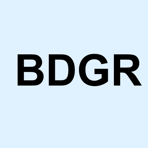 Stock bdgr logo
