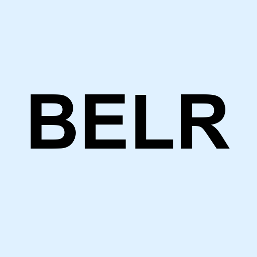 Stock belr logo