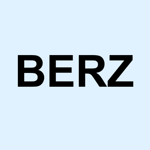 Stock berz logo
