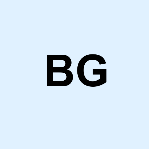 Stock bg logo