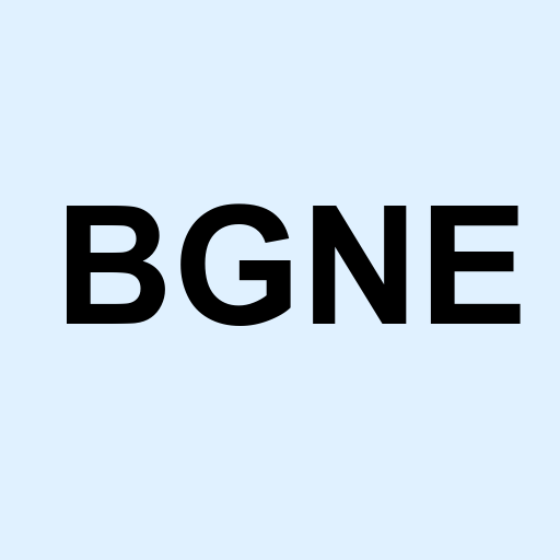 Stock bgne logo