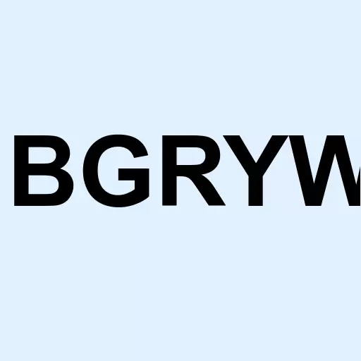 Berkshire Grey Inc. Warrant Logo