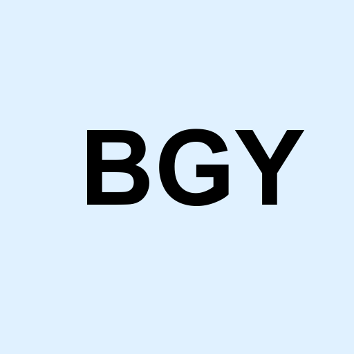 Stock BGY logo