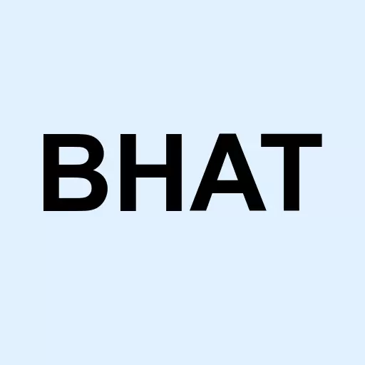Blue Hat Interactive Entertainment Technology Logo