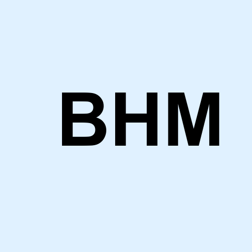Stock bhm logo
