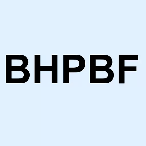 BHP Group Plc Logo