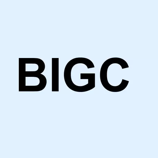 BigCommerce Holdings Inc. Logo