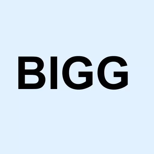 Big Tree Group Inc Logo