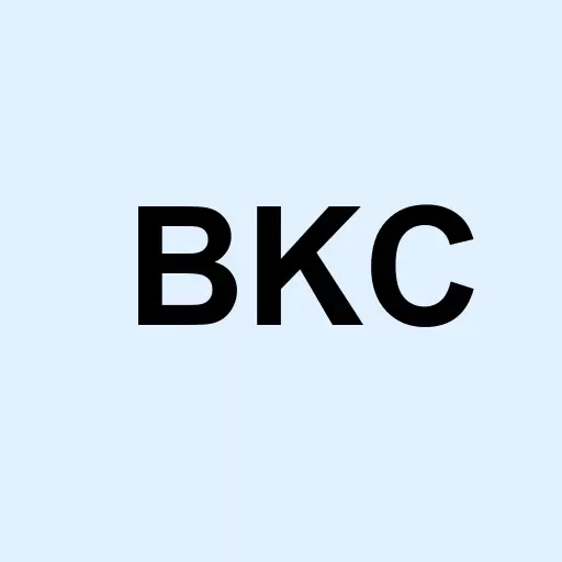 REX BKCM Logo