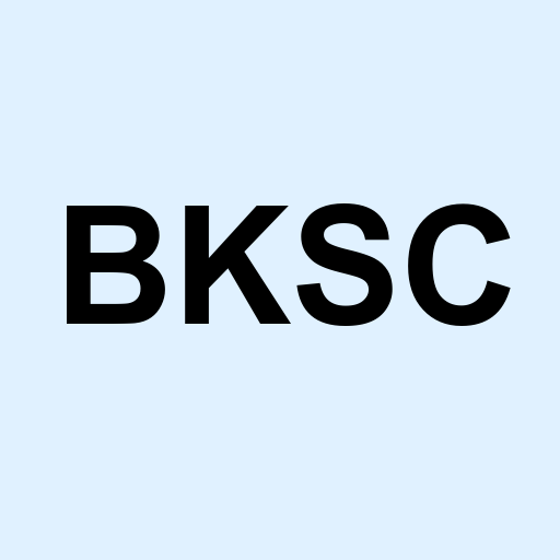 Stock bksc logo
