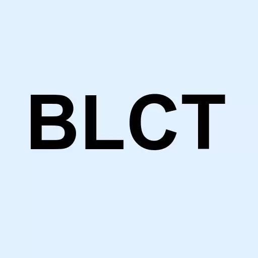 BlueCity Holdings Limited Logo