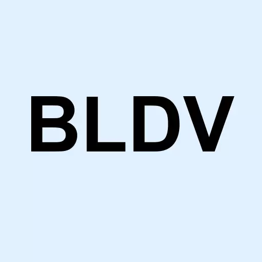 Blue Diamond Ventures Inc Logo