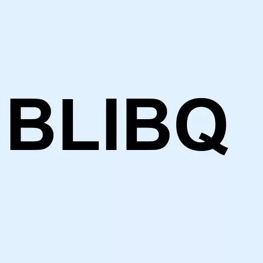 Bb Liquidating Inc B Logo