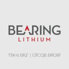Bearing Lithium Logo