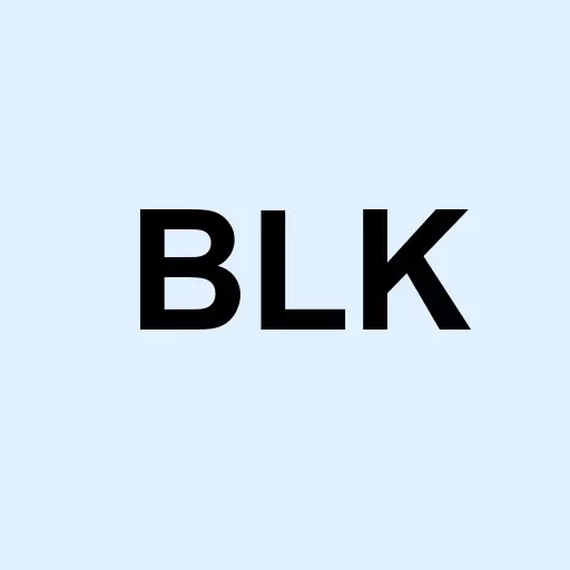 BlackRock Inc. Logo