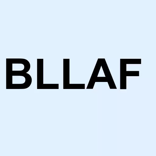Billabong Intl Ltd Aud Logo