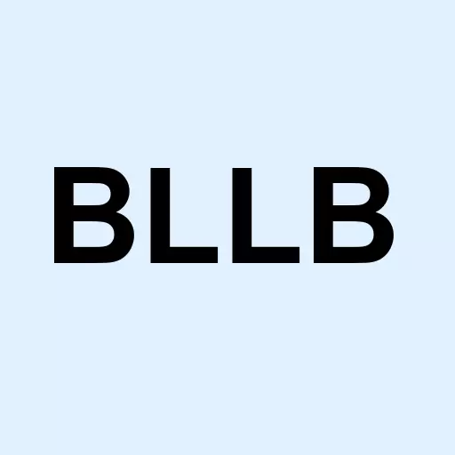 Bell Buckle Hldgs Inc Logo