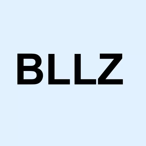 Bullzi Holdings Inc Logo
