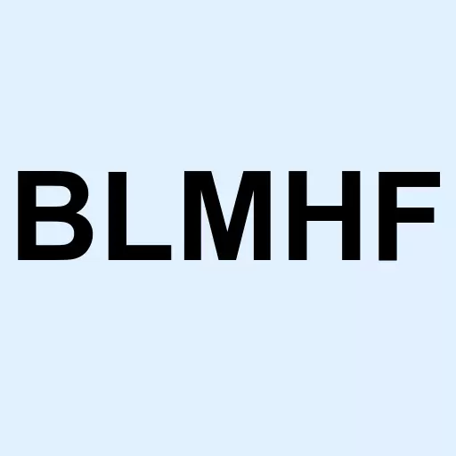 Bloom Health Partners Inc Logo