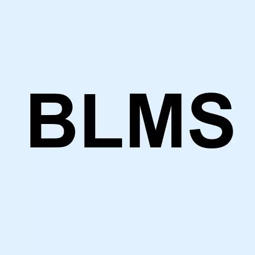 Bloomios Inc Logo