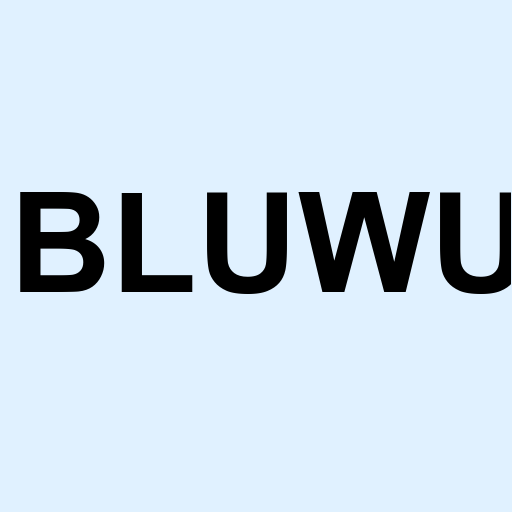 Stock bluwu logo
