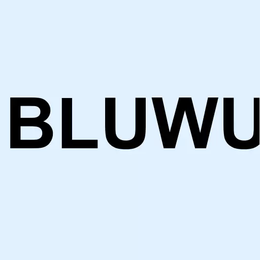 Blue Water Acquisition Corp. Unit Logo