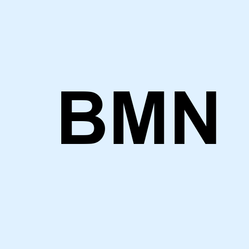 Stock bmn logo