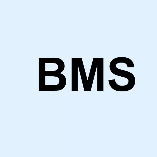 Bemis Company Inc. Logo