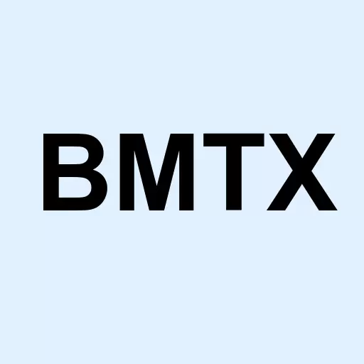 BM Technologies Inc. Logo