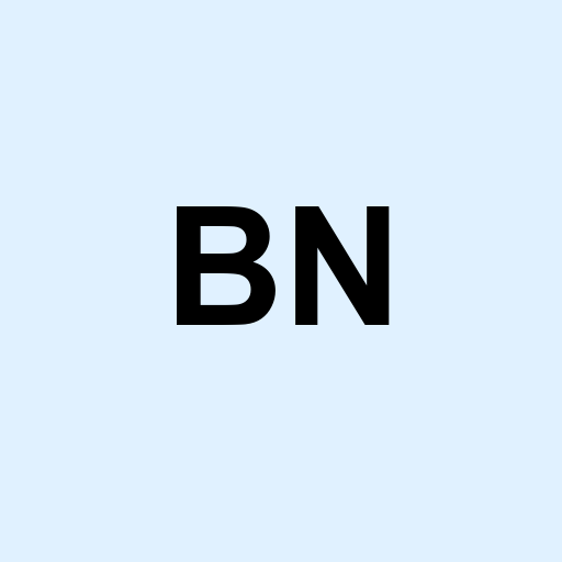 Stock bn logo