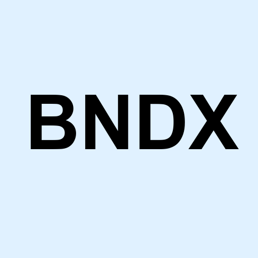 Stock bndx logo